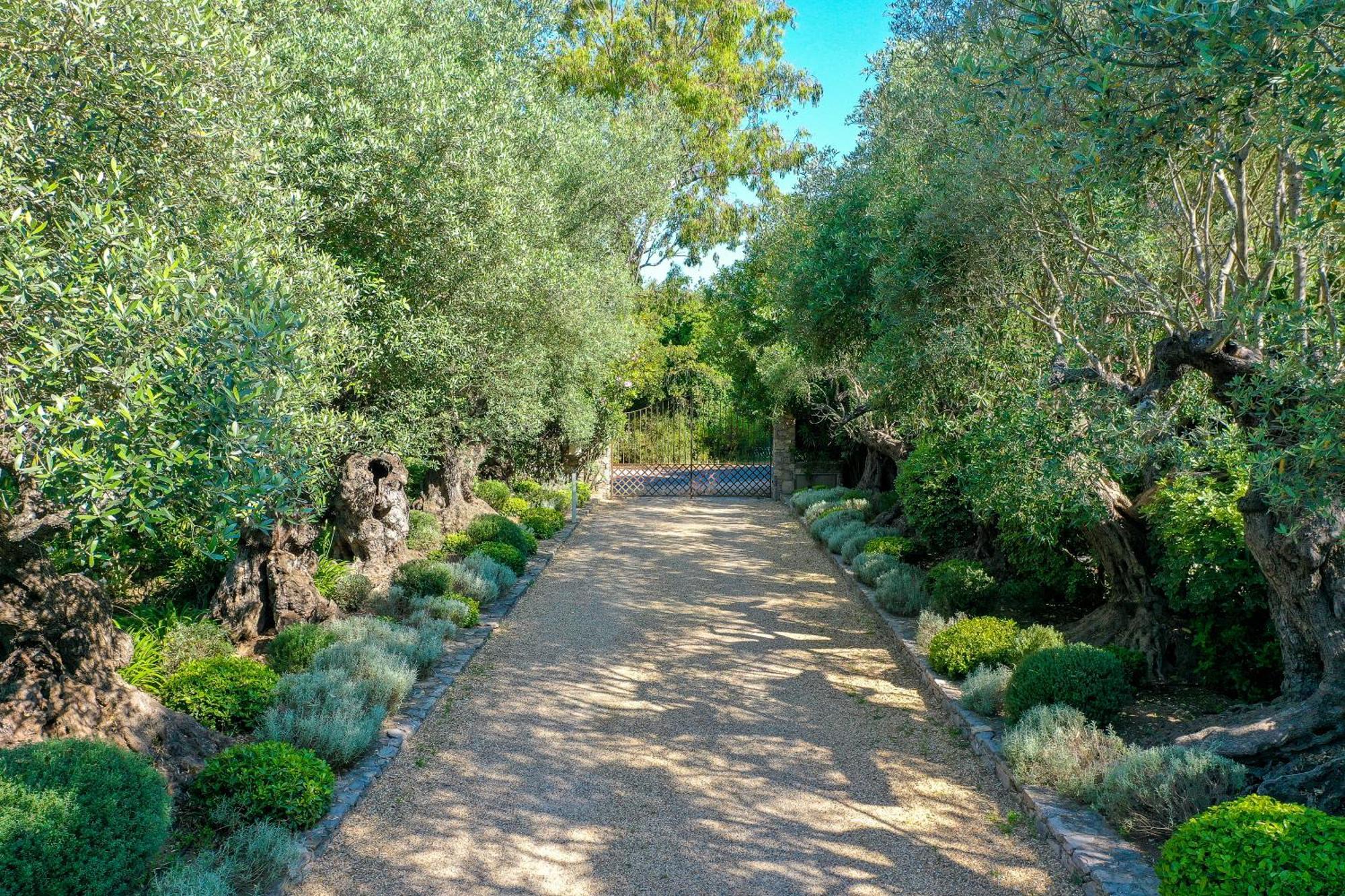 מלון גאסה Domaine Les Mesanges מראה חיצוני תמונה