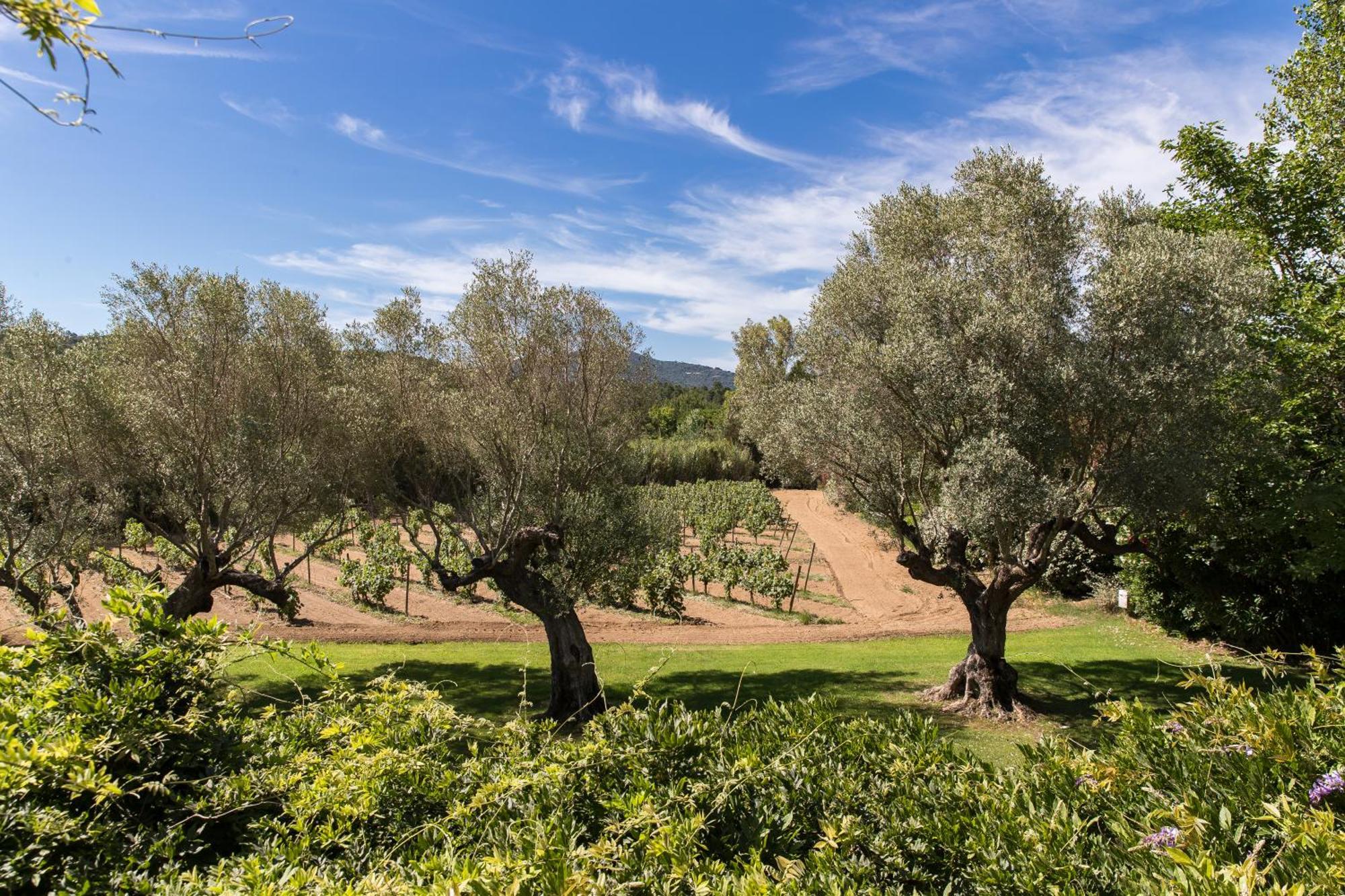 מלון גאסה Domaine Les Mesanges מראה חיצוני תמונה
